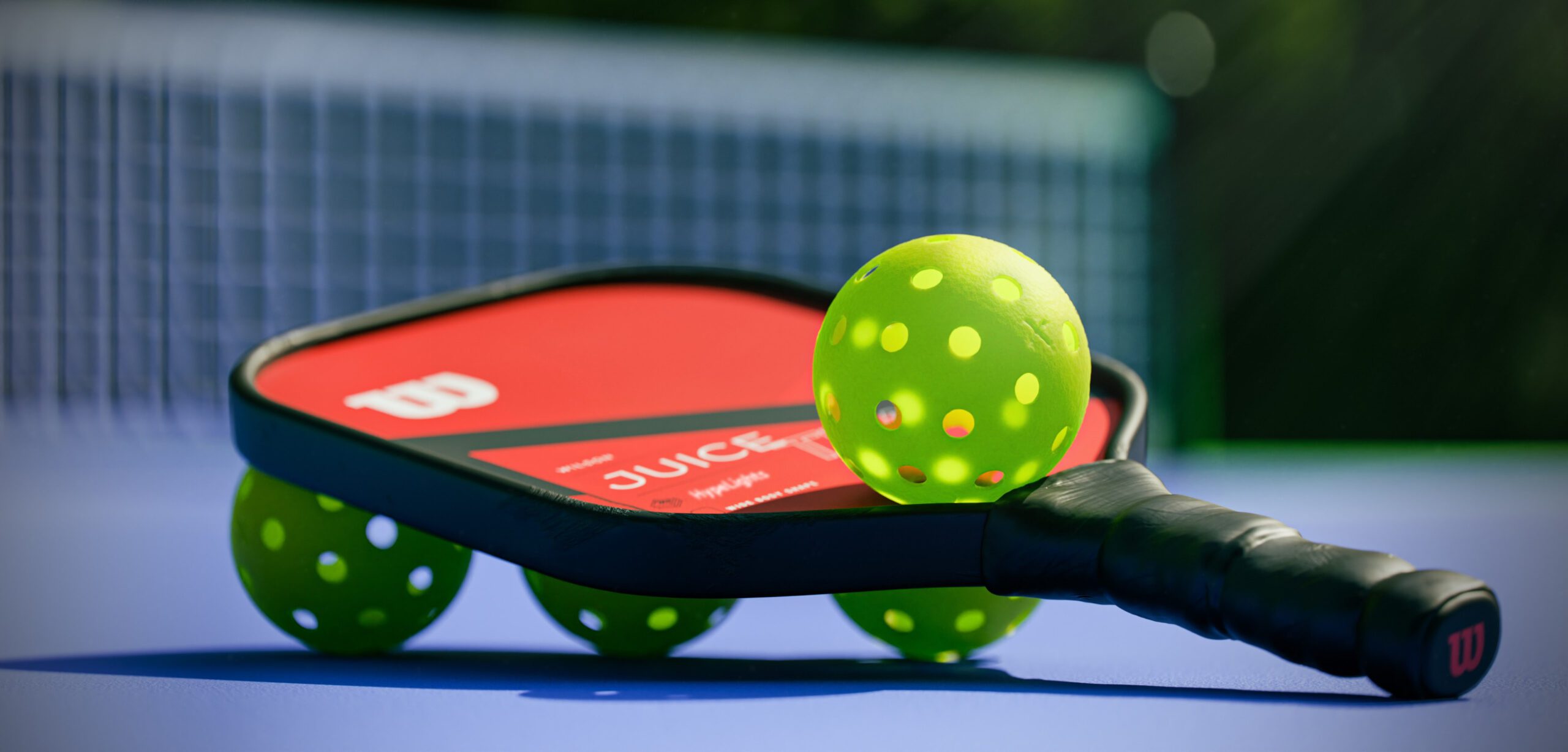 Pickleball-The-Fastest-Growing-Sport
